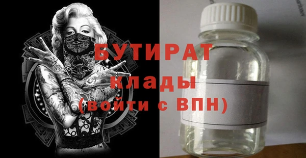 индика Бородино