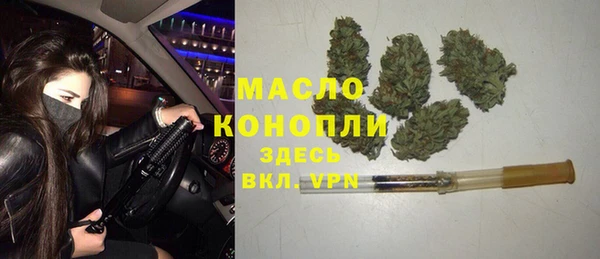 индика Бородино