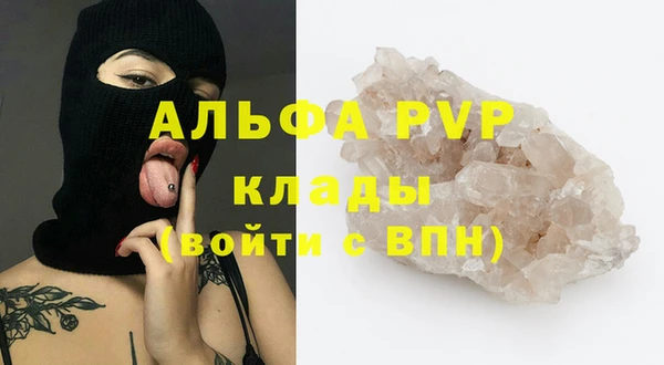 индика Бородино