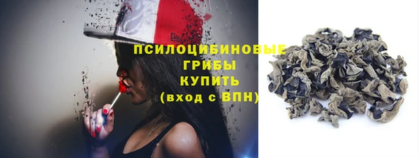 индика Бородино