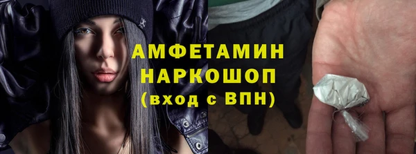 индика Бородино