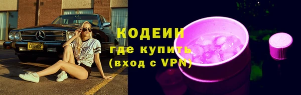 индика Бородино
