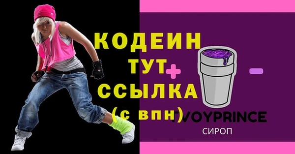 индика Бородино