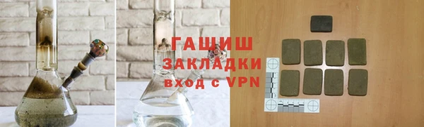 индика Бородино