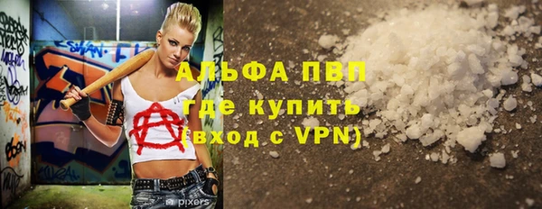 индика Бородино