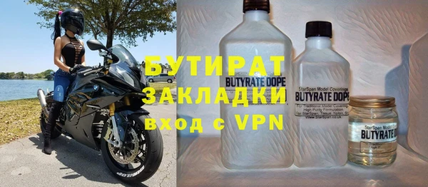 индика Бородино