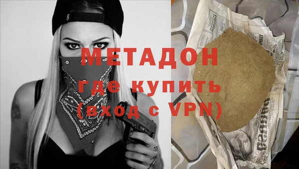 индика Бородино