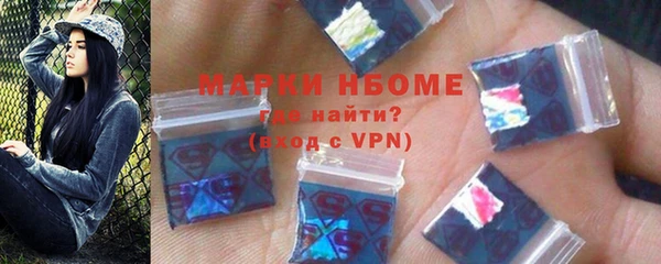 индика Бородино