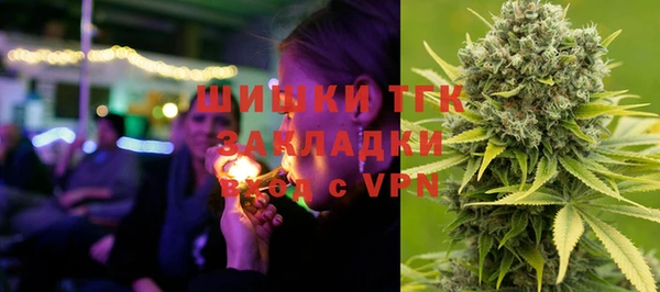индика Бородино