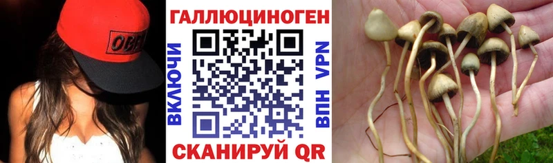 Купить  Минеральные Воды  Галлюциногенные грибы ЛСД 